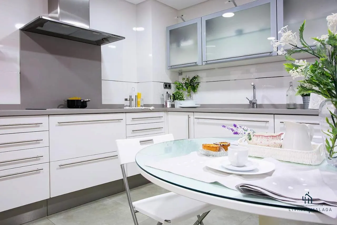 Living4Malaga Reding Superior Apartment