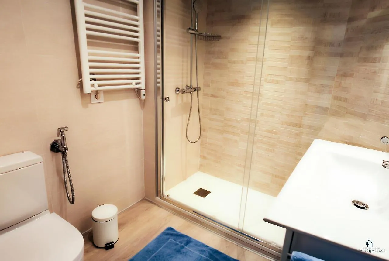 Living4Malaga Reding Superior Apartment 0*,