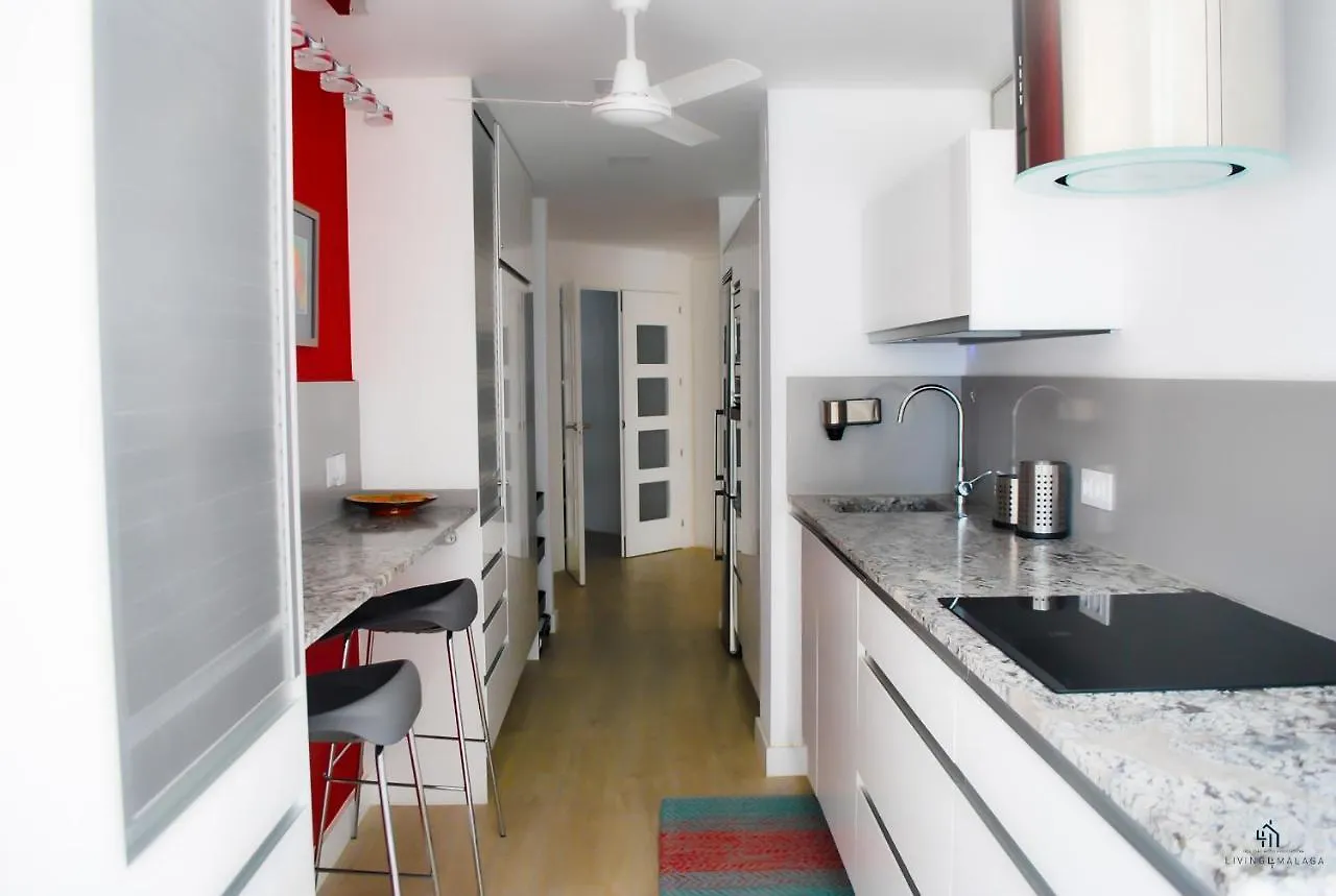 Living4Malaga Reding Superior Apartment  Malaga